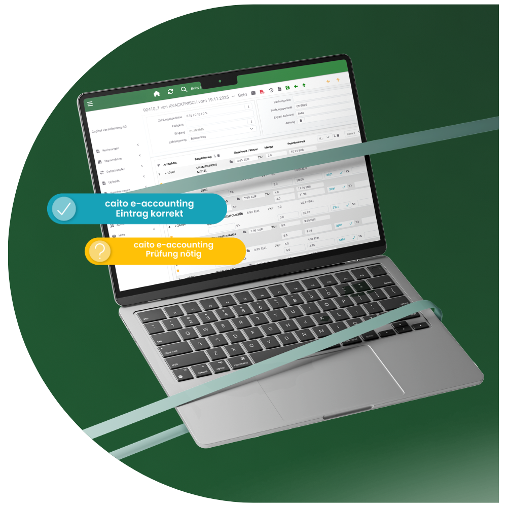 caito e-accounting LP01